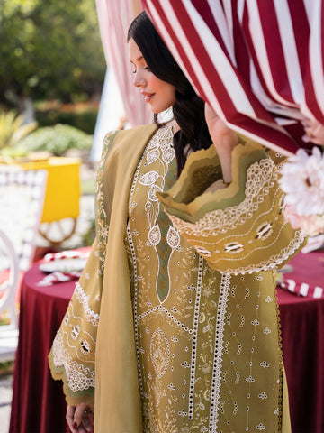 Bin Alyas  3-PC Embroidered DHANAK Stuff