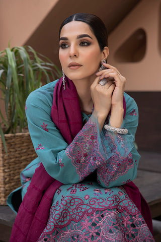 Rang Rasiya 3-PC Embroidered DHANAK Stuff