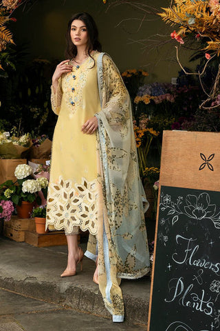 Mushq Yellow Luxury DHANAK Dress'24 HMC-04