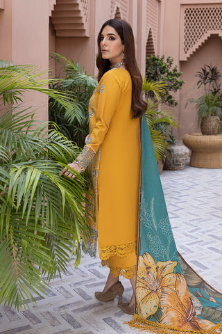 Rang Rasiya 3-PC Embroidered DHANAK Stuff SKU-765