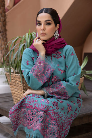 Rang Rasiya 3-PC Embroidered DHANAK Stuff