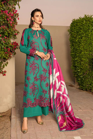 Rang Rasiya 3-PC Embroidered DHANAK Stuff