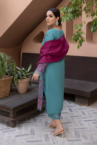 Rang Rasiya 3-PC Embroidered DHANAK Stuff