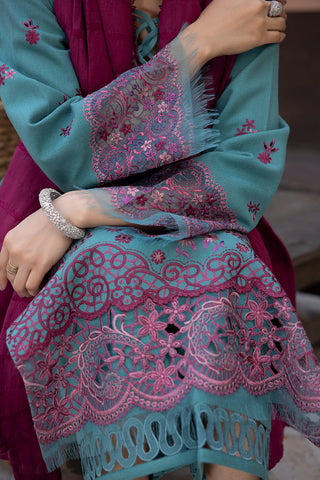 Rang Rasiya 3-PC Embroidered DHANAK Stuff