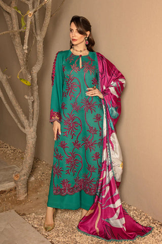 Rang Rasiya 3-PC Embroidered DHANAK Stuff