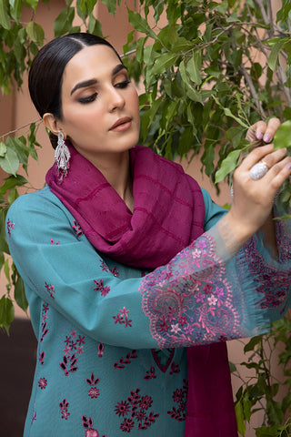 Rang Rasiya 3-PC Embroidered DHANAK Stuff