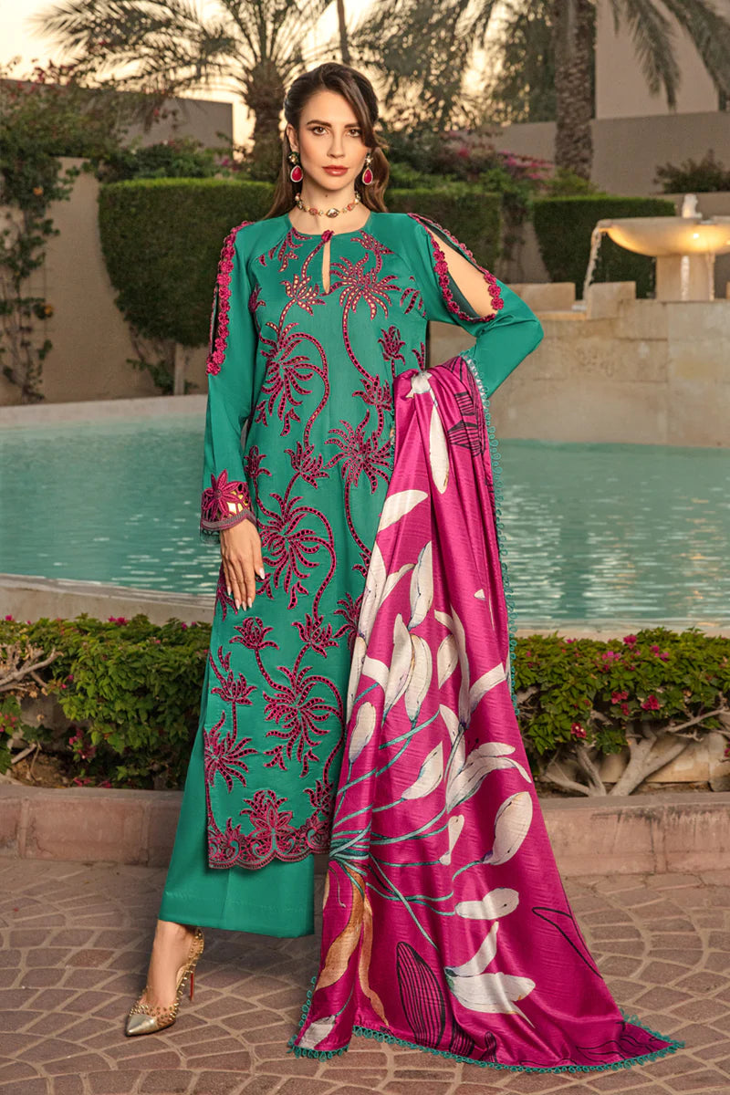 Rang Rasiya 3-PC Embroidered DHANAK Stuff