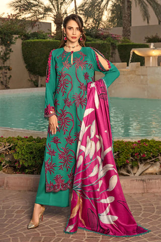 Rang Rasiya 3-PC Embroidered DHANAK Stuff
